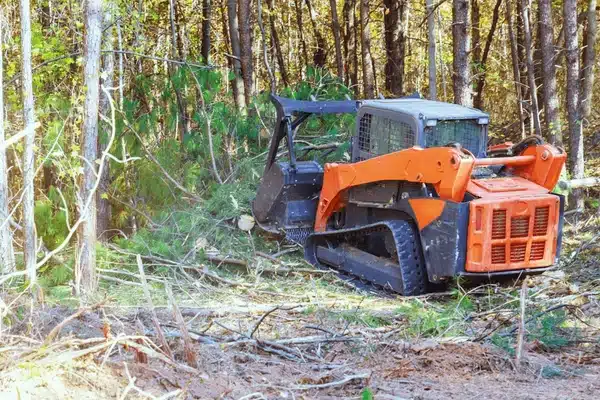 Brush Clearing