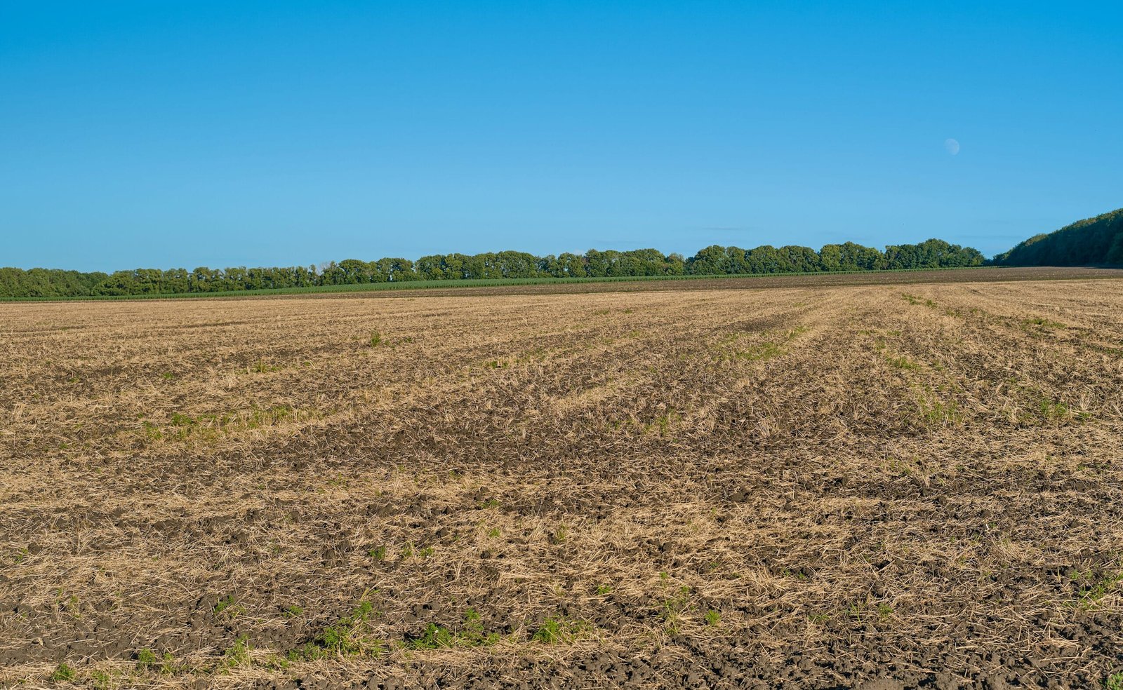 Pasture Reclamation